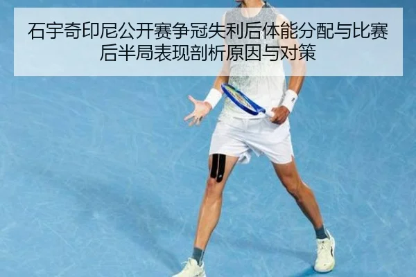 shi-yu-qi-yin-ni-gong-kai-sai-zheng-guan-shi-li-hou-ti-neng-fen-pei-yu-bi-sai-hou-ban-ju-biao-xian-pou-xi-yuan-yin-yu-2-395.jpg